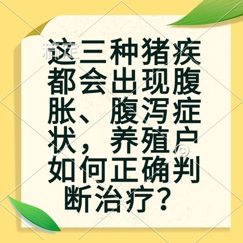 这三种猪疾都会出现腹胀、腹泻症状，养殖户如何正确判断治疗？