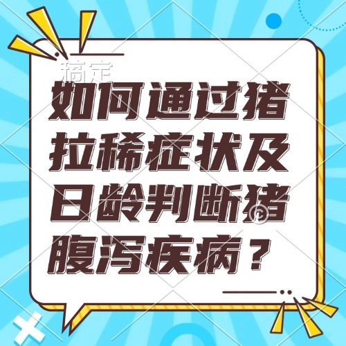 如何通过猪拉稀症状及日龄判断猪腹泻疾病？
