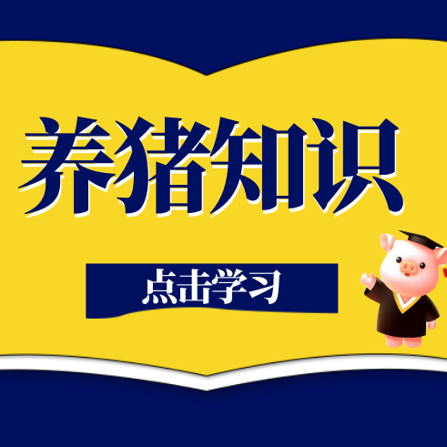 夏季母猪为何更容易难产？母猪难产的识别、处置与预防方法
