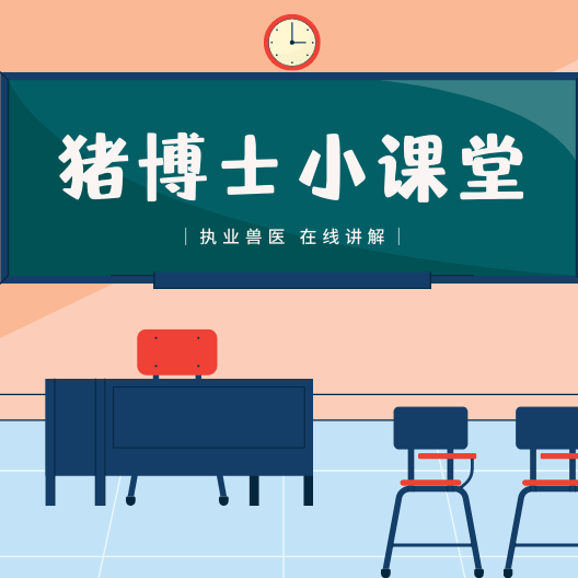 猪大便干结原因是啥？如何治疗？