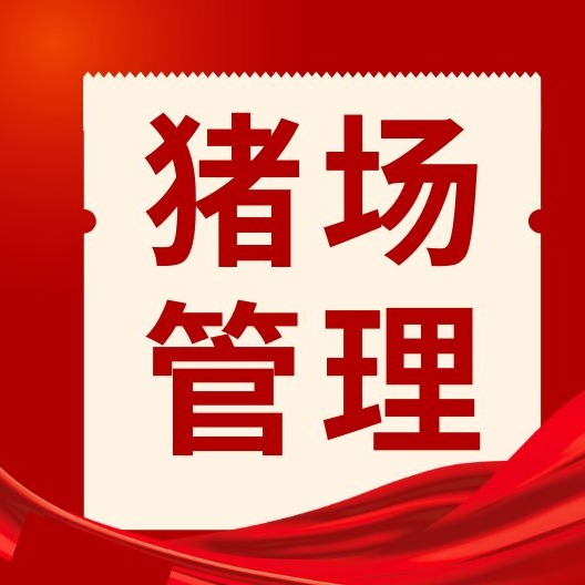 母猪假怀孕，背后隐藏了哪些真问题？一文看懂