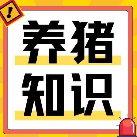 雨季猪场隐患爆发！忽略这几点，猪场亏损惨重