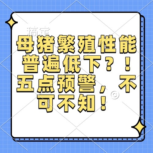 母猪繁殖性能普遍低下？!五点预警，不可不知！