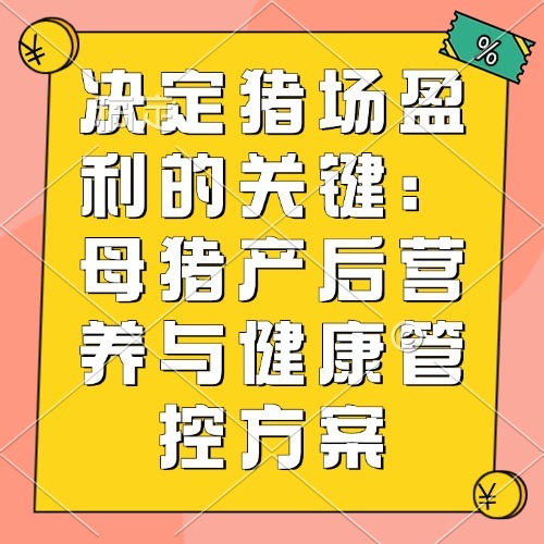 决定猪场盈利的关键：母猪产后营养与健康管控方案