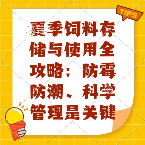夏季饲料存储与使用全攻略：防霉防潮、科学管理是关键