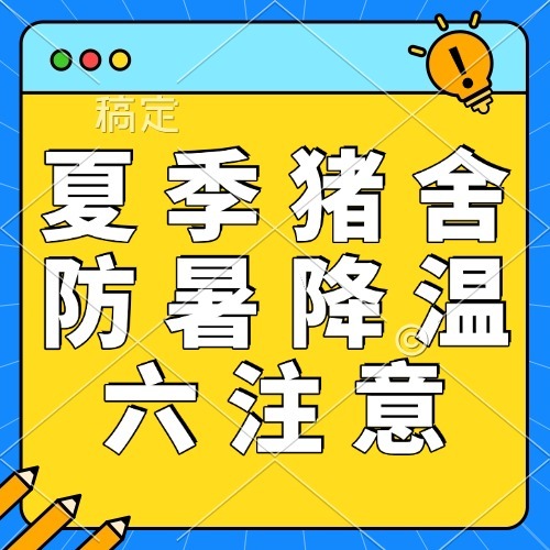 夏季猪舍防暑降温六注意