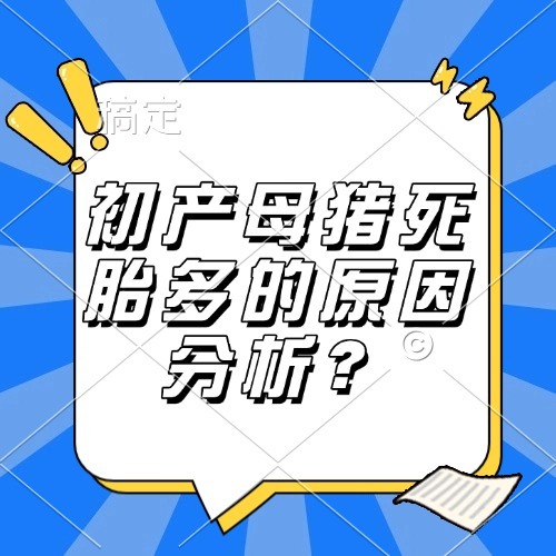初产母猪死胎多的原因分析？