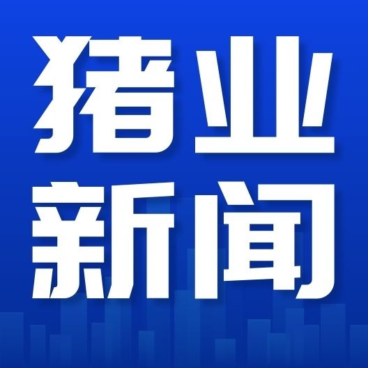 猪周期变了！不再盲目扩栏，养猪正式拼效率
