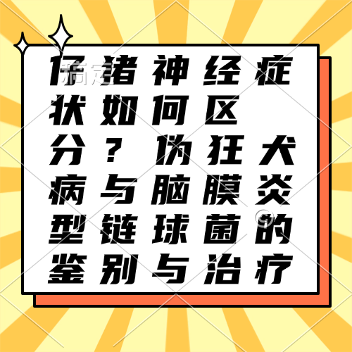 仔猪神经症状如何区分？伪狂犬病与脑膜炎型链球菌的鉴别与治疗