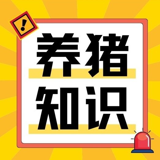 为啥母猪会缺奶？这些关键点养殖户要清楚