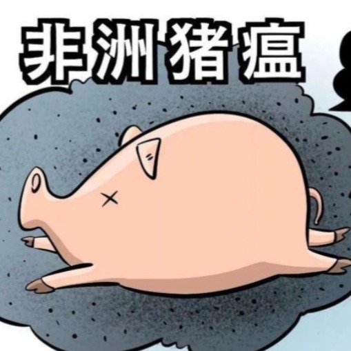 警惕！一周内非瘟暴发超100起，某猪场超2.1万头猪一夜清零！还有一地家猪防线首次失守扑杀超3000