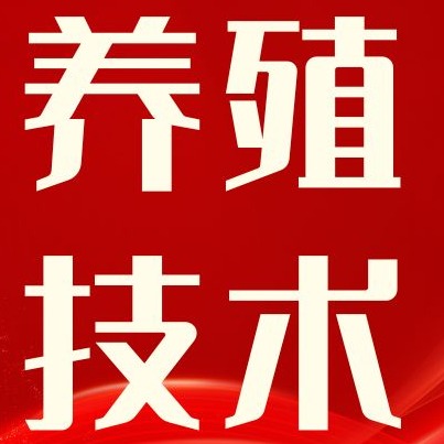 互联网 + 检疫新模式：基层生猪智慧检疫体系构建与落地对策