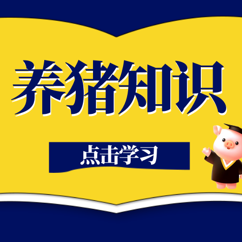 夏季养猪防热应激！智能化闭环防控技术全解析