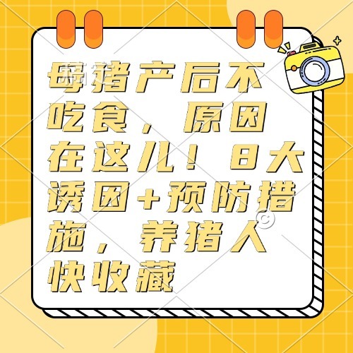 母猪产后不吃食，原因在这儿！8大诱因+预防措施，养猪人快收藏