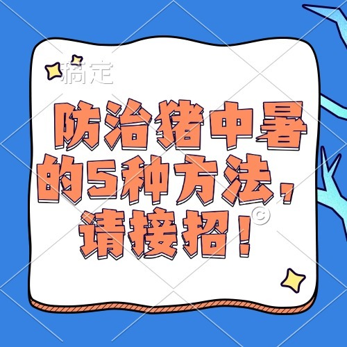 防治猪中暑的5种方法，请接招！