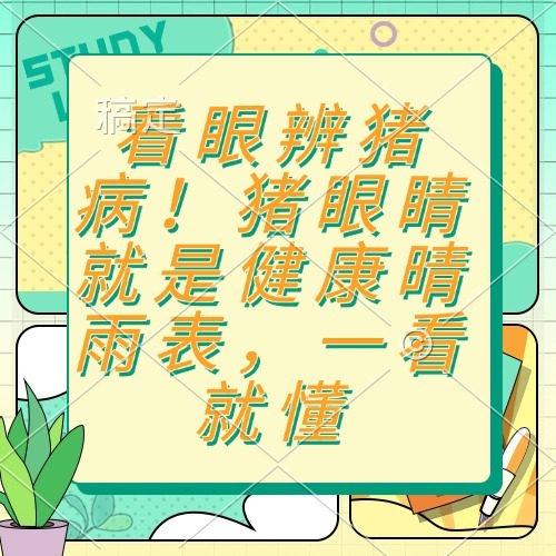 看眼辨猪病！猪眼睛就是健康晴雨表，一看就懂