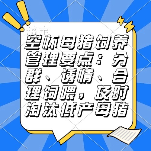 空怀母猪饲养管理要点：分群、诱情、合理饲喂，及时淘汰低产母猪