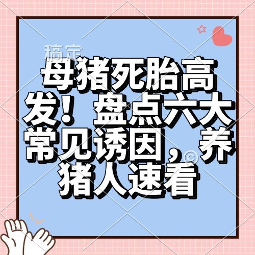 母猪死胎高发！盘点六大常见诱因，养猪人速看