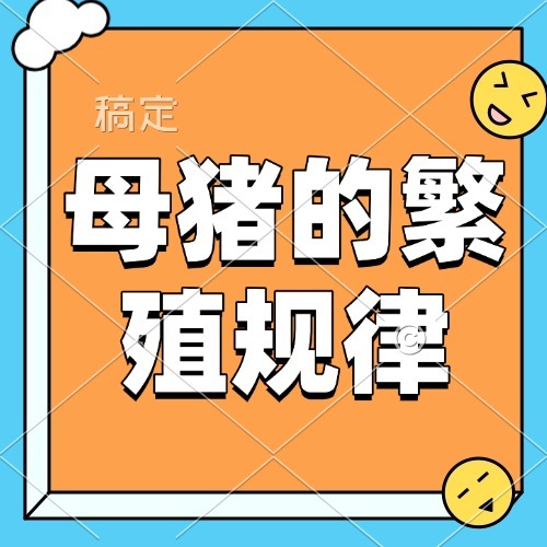 母猪的繁殖规律