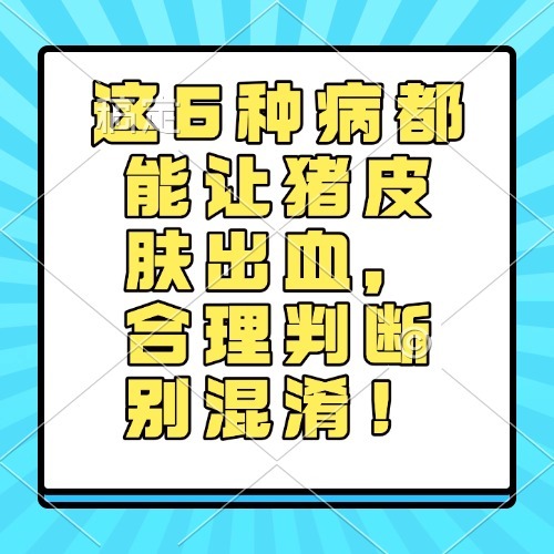 这6种病都能让猪皮肤出血，合理判断别混淆！