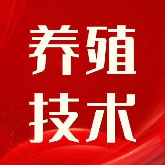 夏季断奶保育猪的管理要点