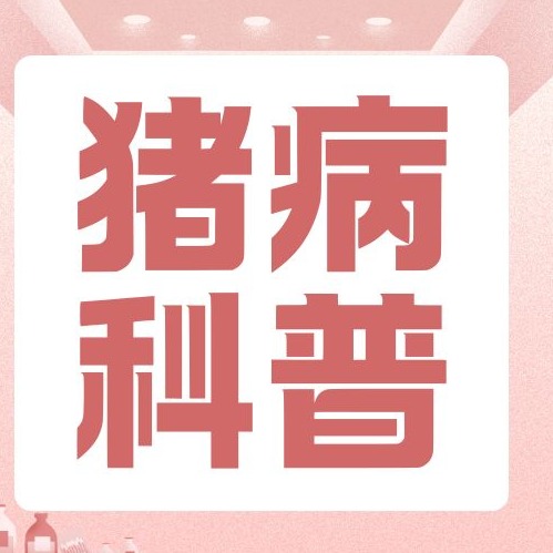 猪四肢麻痹是什么病？诊断方法来了