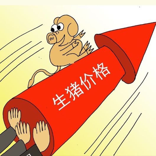 多地出手，猪价上涨压力又来了！什么时候能涨？