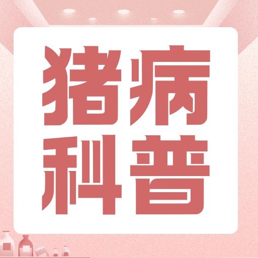 猪得了传染性胃肠炎，该怎么治？