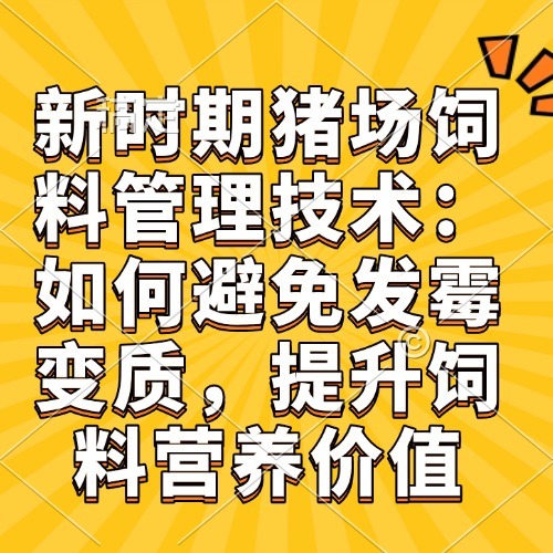 新时期猪场饲料管理技术：如何避免发霉变质，提升饲料营养价值