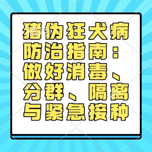 猪伪狂犬病防治指南：做好消毒、分群、隔离与紧急接种
