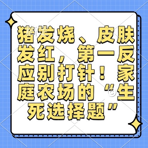 猪发烧、皮肤发红，第一反应别打针！家庭农场的&ldquo;生死选择题&rdquo;