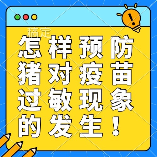 怎样预防猪对疫苗过敏现象的发生！