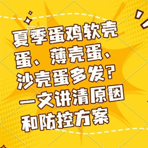 夏季蛋鸡软壳蛋、薄壳蛋、沙壳蛋多发？一文讲清原因和防控方案