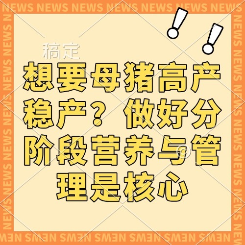 想要母猪高产稳产？做好分阶段营养与管理是核心