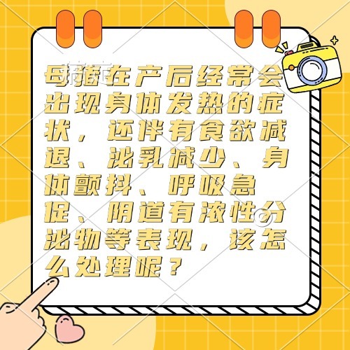 母猪在产后经常会出现身体发热的症状，还伴有食欲减退、泌乳减少、身体颤抖、呼吸急促、阴道有浓性分泌物等