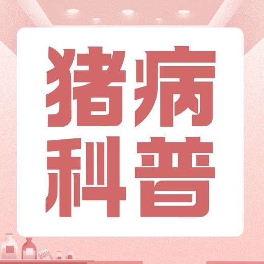 母猪出现一系列问题，根源在哪里？