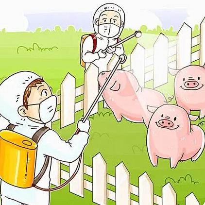 母猪产后护理与泌乳提升技巧