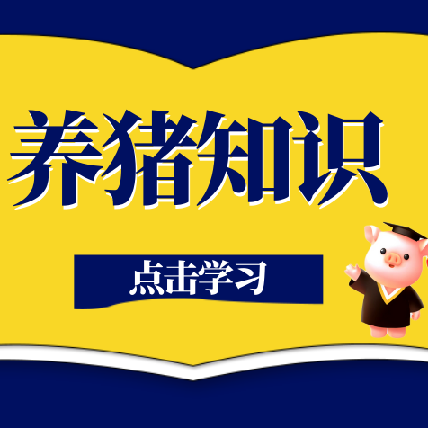 哺乳母猪采食量上不去怎么办？怎样提高？