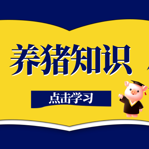 做好这9点，轻松养成高产母猪