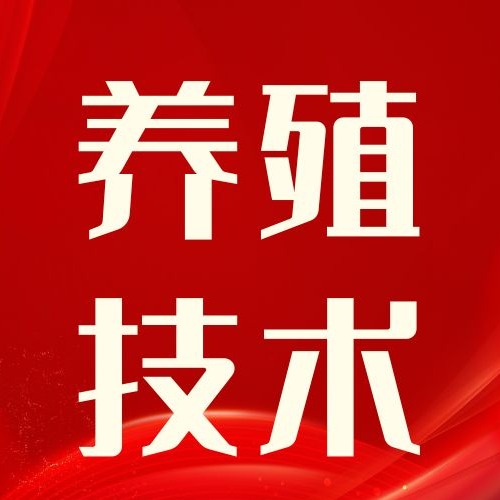 养猪最难养的保育阶段！夏季管理干货收好