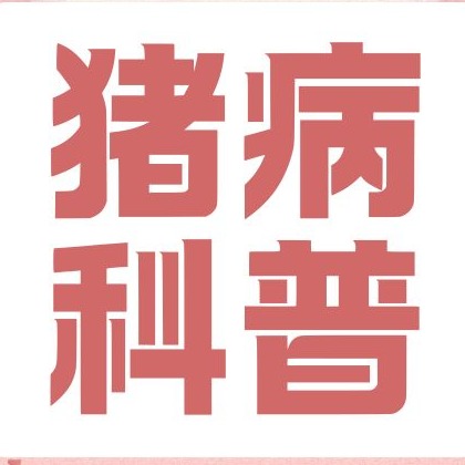 新生仔猪死伤多？都是三种不良状态导致