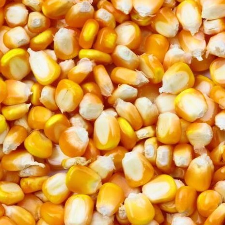 BAGE：阿根廷大豆收获97.2%，产量维持5010万吨不变