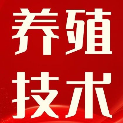 猪场消毒不止喷圈舍，这些细节很多养猪人忽略了