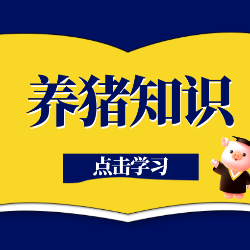 绿色养猪新模式：发酵饲料改善猪群健康、优化养殖环境