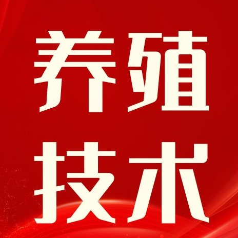 猪反复发病、长势差？大多不是病，是营养失衡！