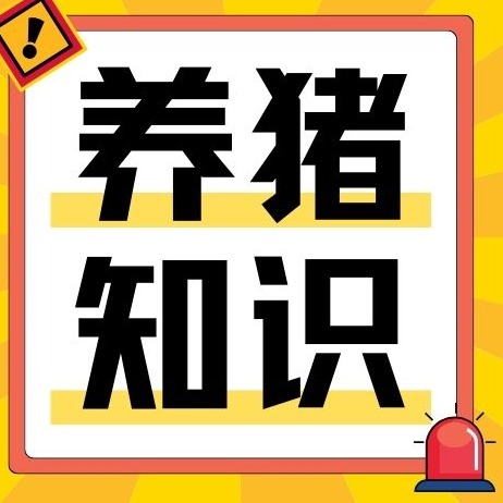 膨化饲料好不好？优势、弊端、适用场景一次性讲透