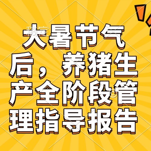大暑节气后，养猪生产全阶段管理指导报告