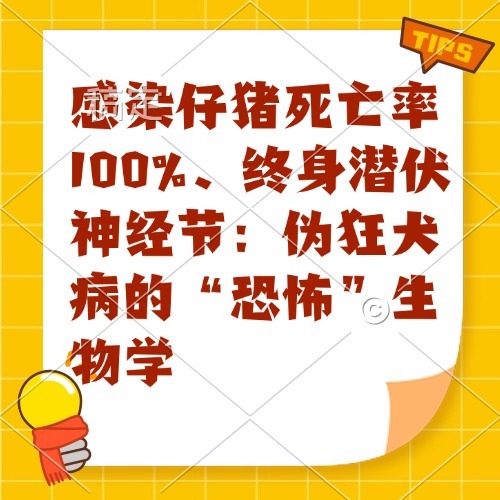 感染仔猪死亡率100%、终身潜伏神经节：伪狂犬病的&ldquo;恐怖&rdquo;生物学