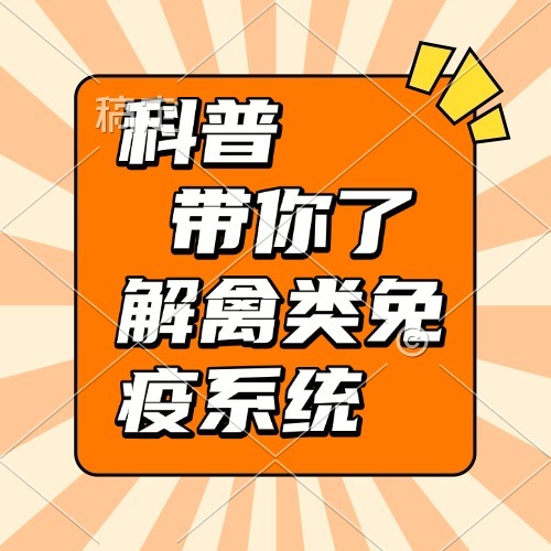 科普  带你了解禽类免疫系统