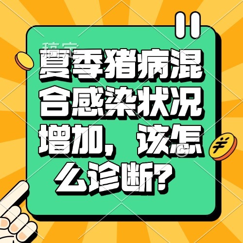 夏季猪病混合感染状况增加，该怎么诊断？